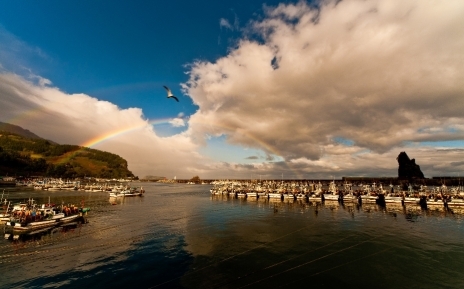 (버스)아름다운 섬~울릉도(독도 택) 2박3일(묵호 & 강릉출발) 2박3일