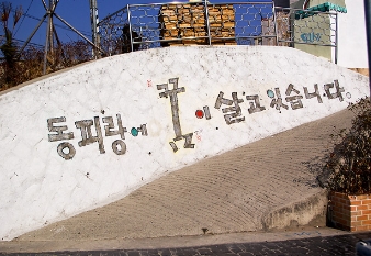 [KTX대전]천상의 화원 외도 ★ 장사도★ 통영 1박2일 기차여행-8명부터(2식)