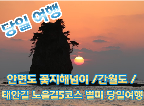 안면도 꽃지해변 /예산 수덕사 / 태안노을길 5코스 별미여행 [충청도 별미여행] [용산역,영등포역,수원역]