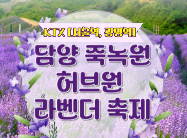 [KTX-당일 ] 담양(죽녹원/메타쉐콰이어길) / 보랏빛 향기 가득한 정읍 라벤더 축제 당일여행 -중식포함 [ 5/23~6/30 ] -대전역 승하차