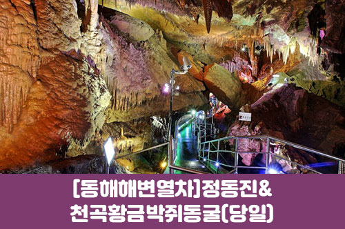 [수도권,충청권,경상권] [동해해변열차] 정동진 / 천곡황금박쥐동굴 (당일) [청량리역,천안아산,대전역,동대구역,포항역,부전역,경주역,동대구역]