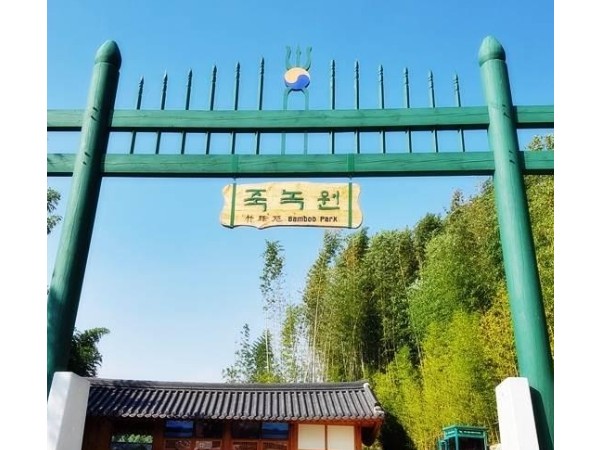 [부산역,울산역- KTX -당일]-담양 죽녹원&메타세콰이어&강천산 구름다리 (당일) [ 중식포함] -[부산역,울산역,동대구역]