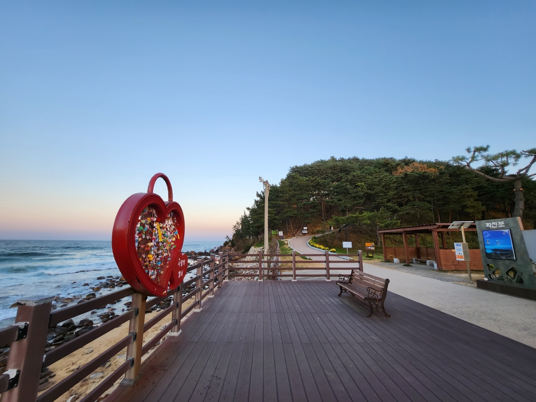 [ ITX -당일] 동해바다 고성 (5월화진포) (6월 라벤더) / 금강산 건봉사 / 속초 바다정원 ( 당일 ) 용산역,청량리역