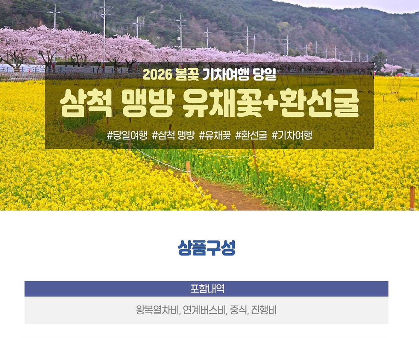 [수도권,충청권,경상권] [동해해변열차] 삼척 맹방 유채꽃 / 환선굴 (당일) [청량리역,대전역,부전역,태화강역,북울산역,포항역,경주역,동대구역]